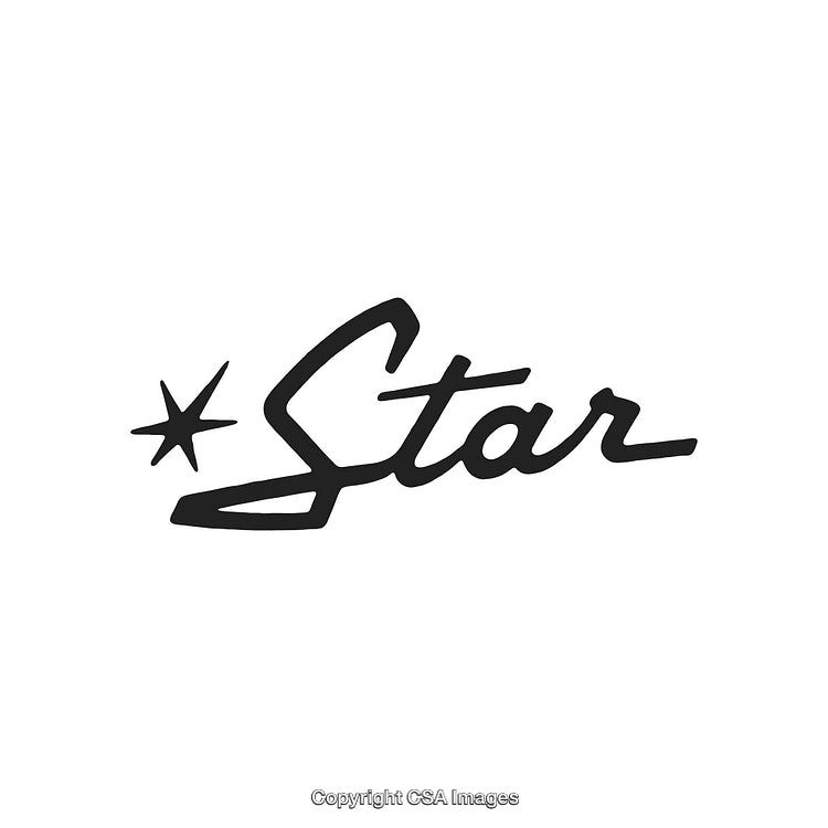 Handwritten Star Text Logo with Modern Typography Design on White Background
