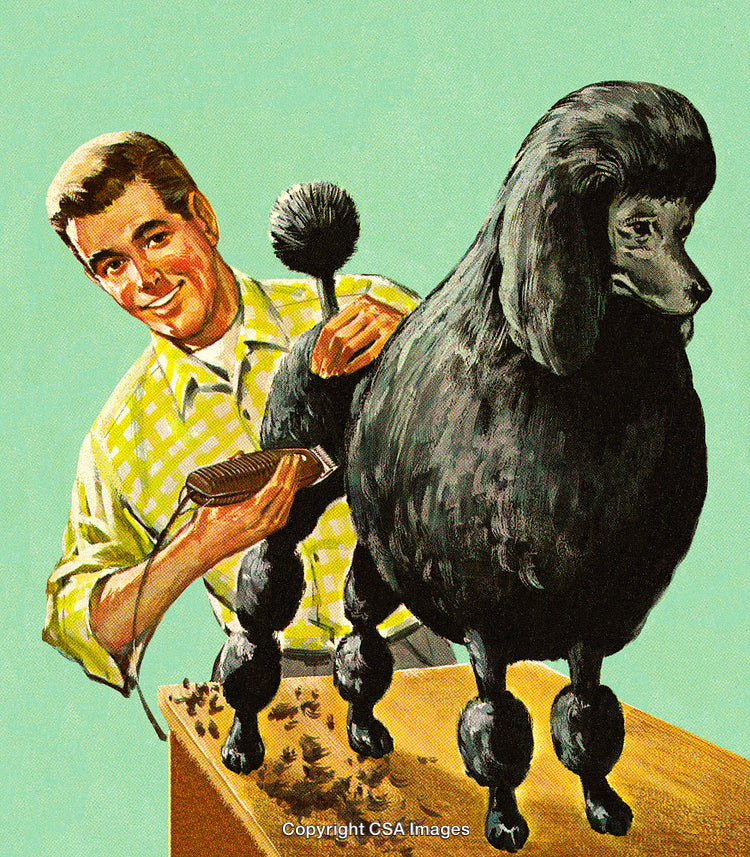 Professional Groomer Styling Poodle with Clipping Tools in a Retro Illustration