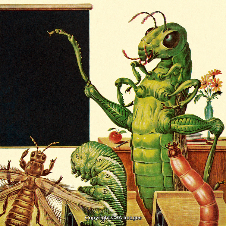 Anthropomorphic Insects in a Classroom Setting Engaged in Learning
