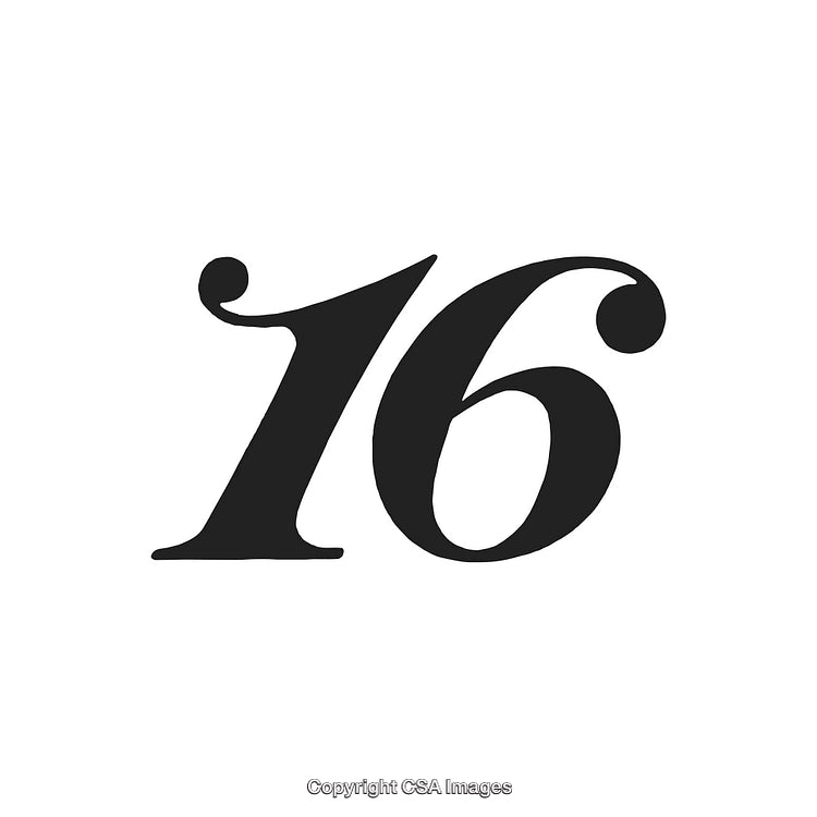 Elegant Number Sixteen Design in a Stylish Serif Typeface