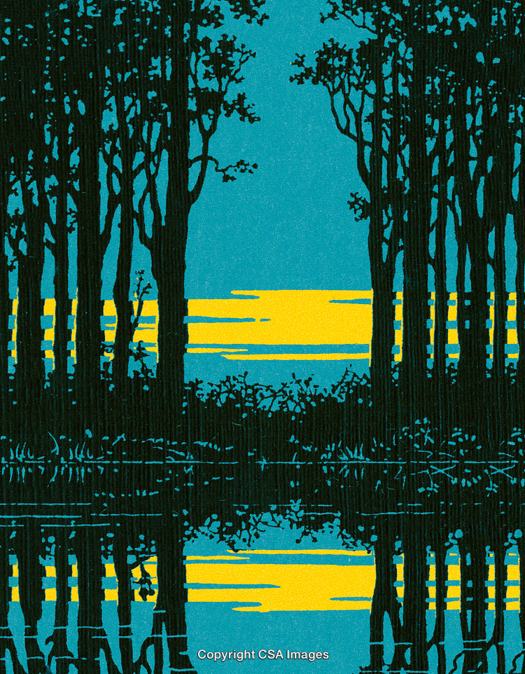 Silhouetted Forest and Scenic Sunset Reflected on Calm Water Surface