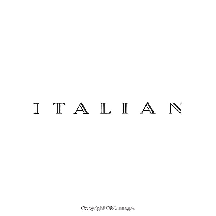 Elegant Text Design of the Word 'Italian' on a Minimal White Background