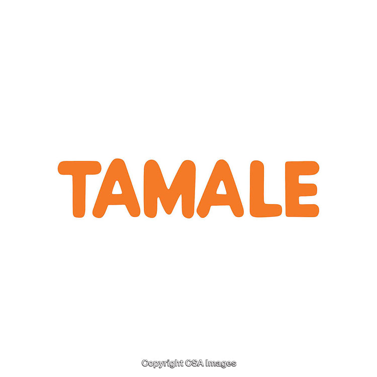 Bright Orange Word 'Tamale' on a Minimalist White Background