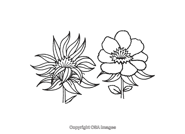 Black and White Line Art of Unique Floral Illustrations with Detailed Petals