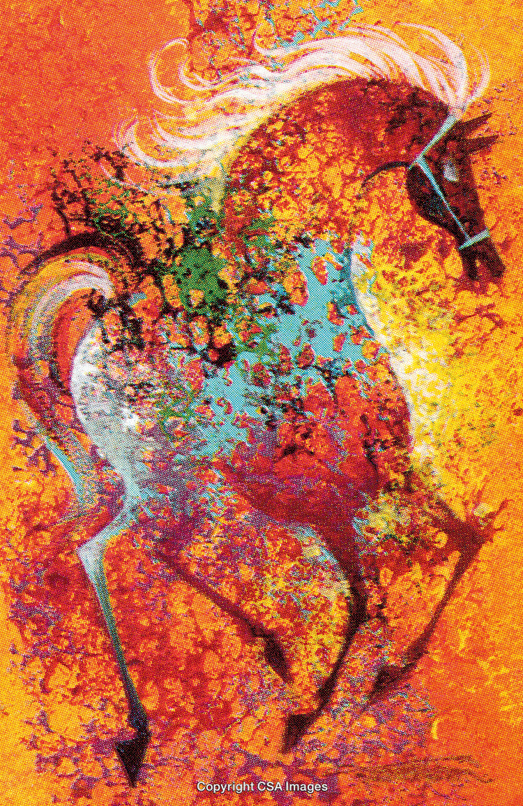 Dynamic Abstract Art Featuring a Spirited Horse in Rich Vivid Colors