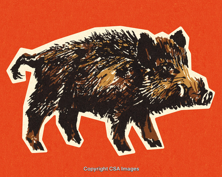 Illustrated Wild Boar on Vibrant Red Background with Bold Colors