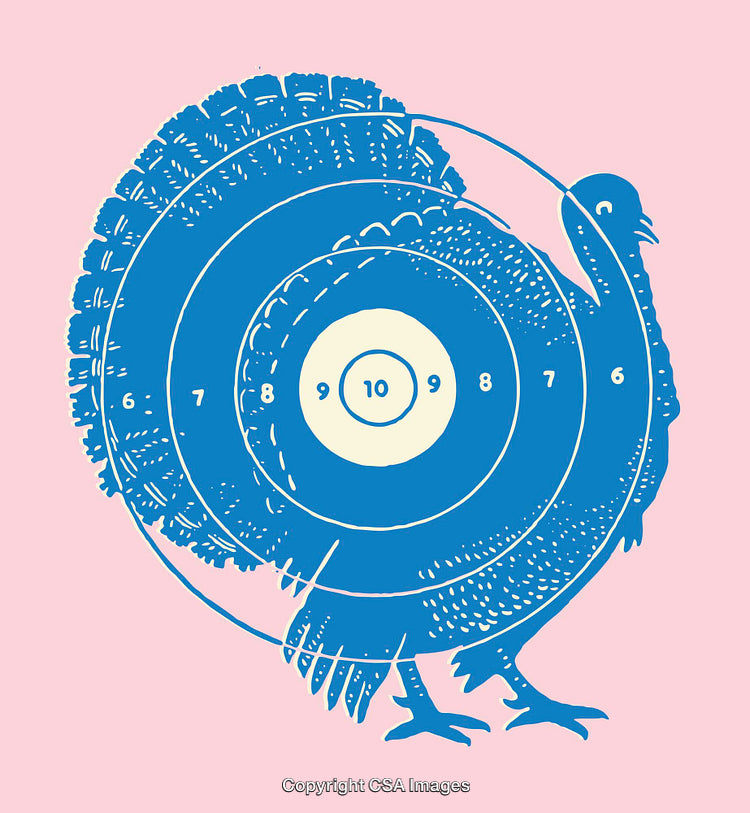 Blue Turkey Line Art Illustration With Target Overlay on Pink Background