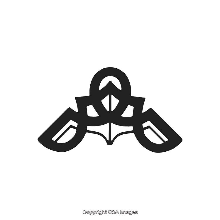 Ornamental Black and White Decorative Abstract Design Illustration