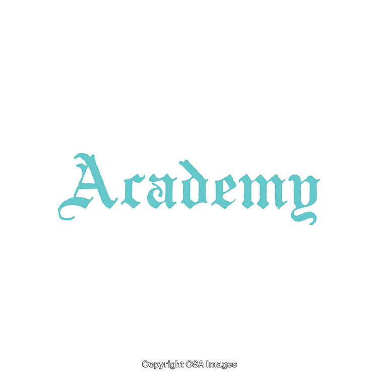 Stylized Academy Text in Light Teal Color with Ornate Typography