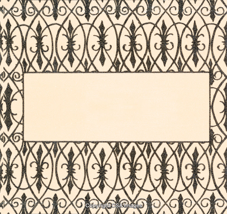 Intricate Ornamental Frame Design Featuring Decorative Black Iron Patterns