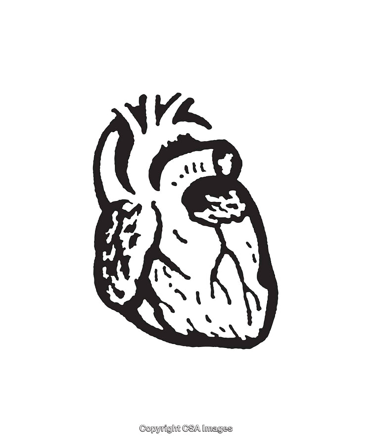 Detailed Black and White Line Art Heart Illustration
