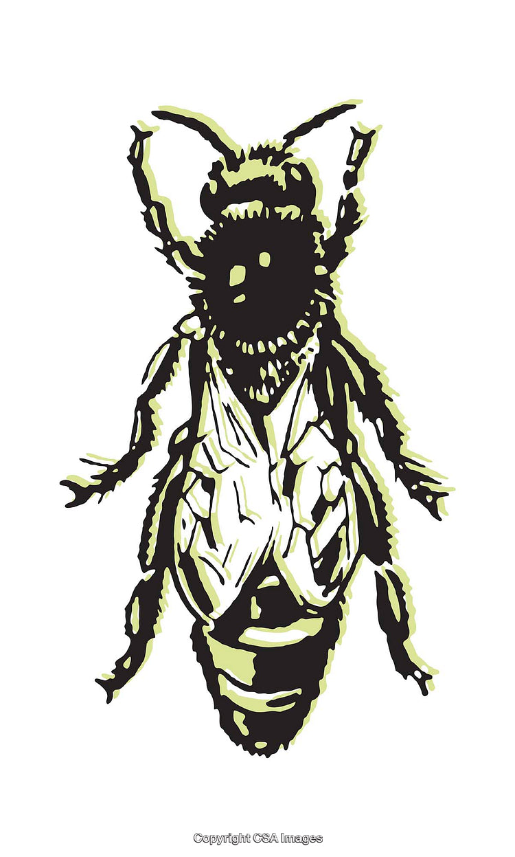 Color Illustration of a Detailed Bee Insect in Digital Artwork