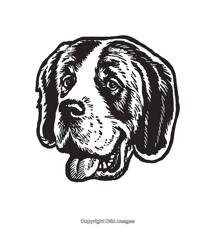 Black and White Line Art of a Saint Bernard Dog Head