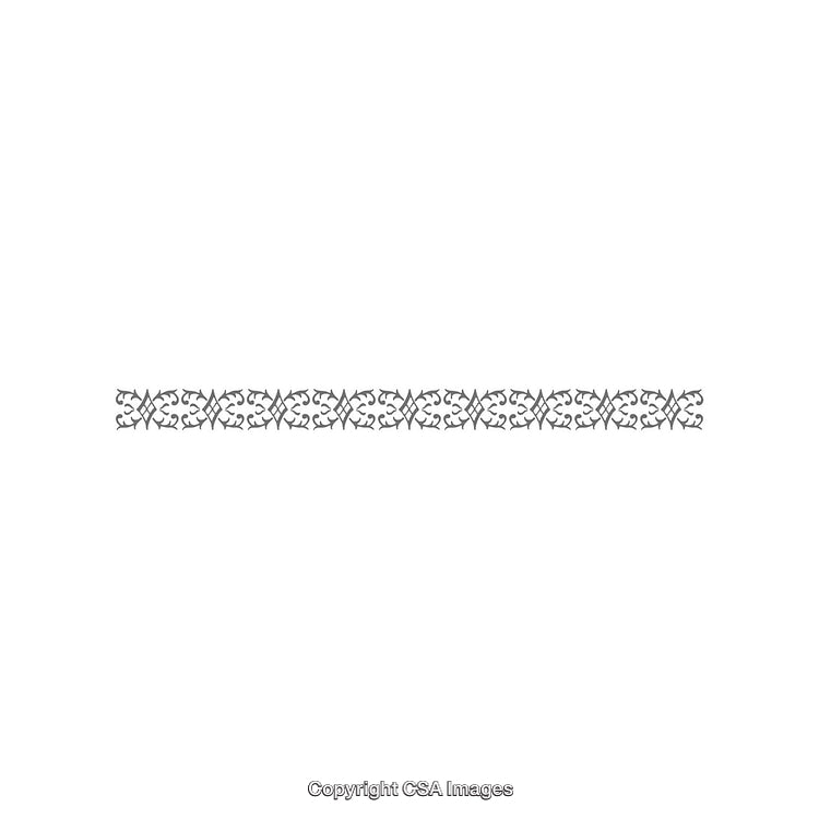 Intricate Decorative Border Design with Vintage Styled Patterns and Symmetry