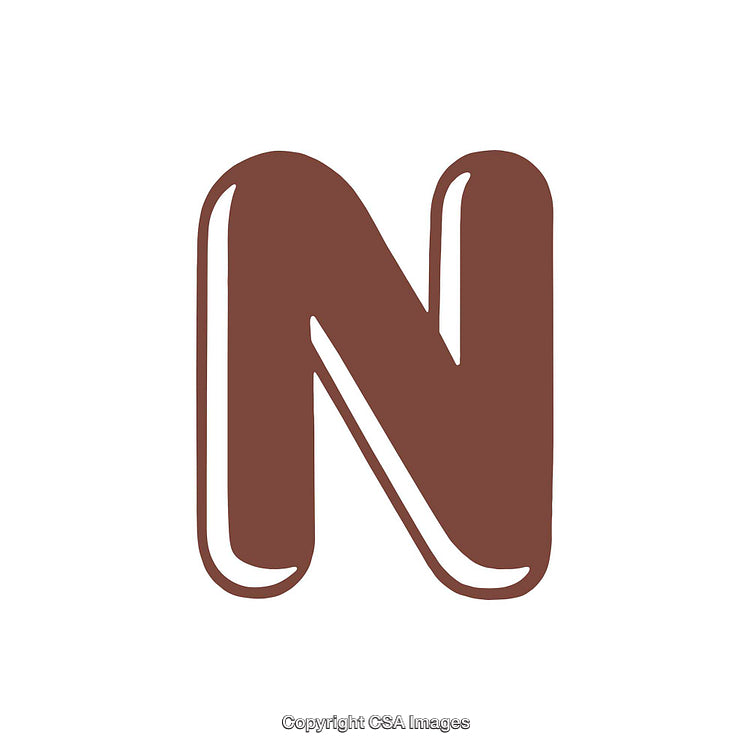 Stylized Bold Letter N in Brown with Smooth Highlights