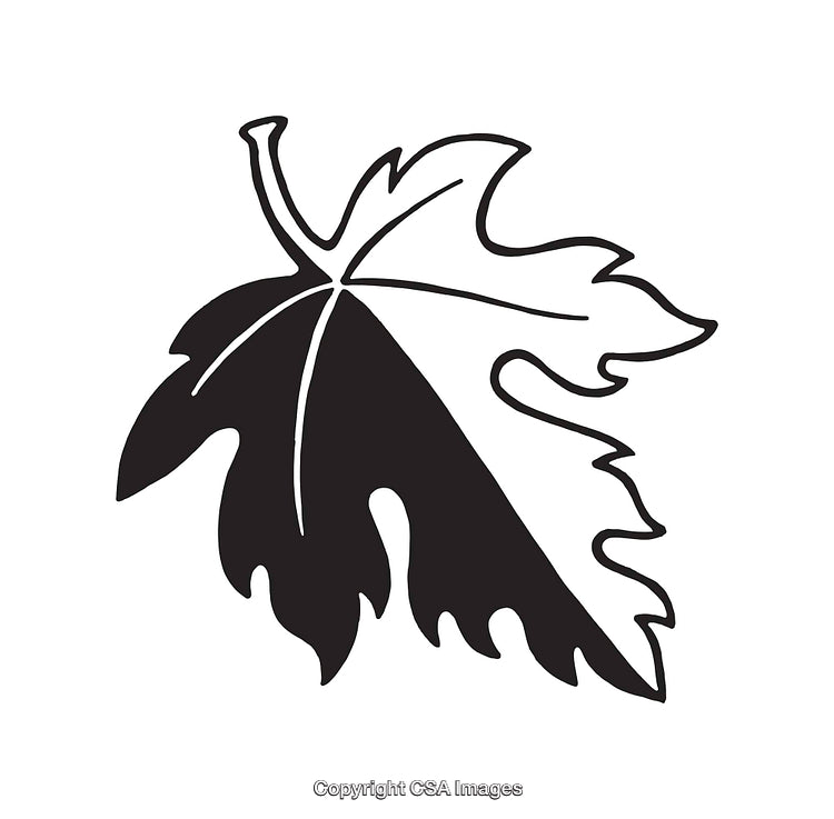 Minimalist Black and White Illustration of a Maple Leaf
