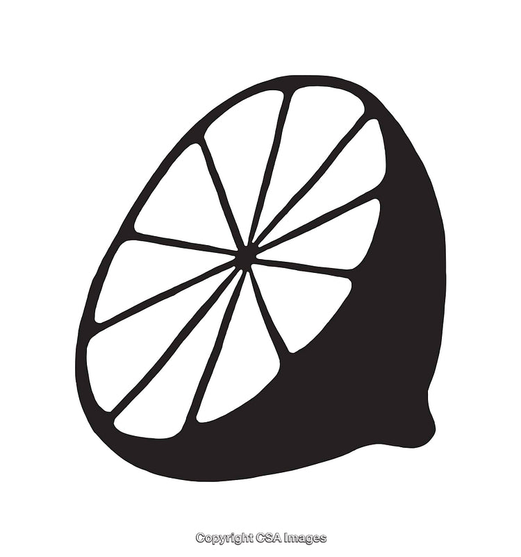 Simple Black and White Citrus Fruit Slice Icon With Bold Lines