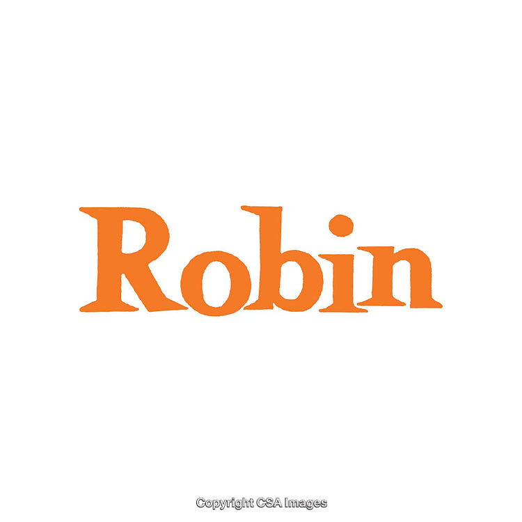 Bold Orange 'Robin' Text on a Minimalist White Background