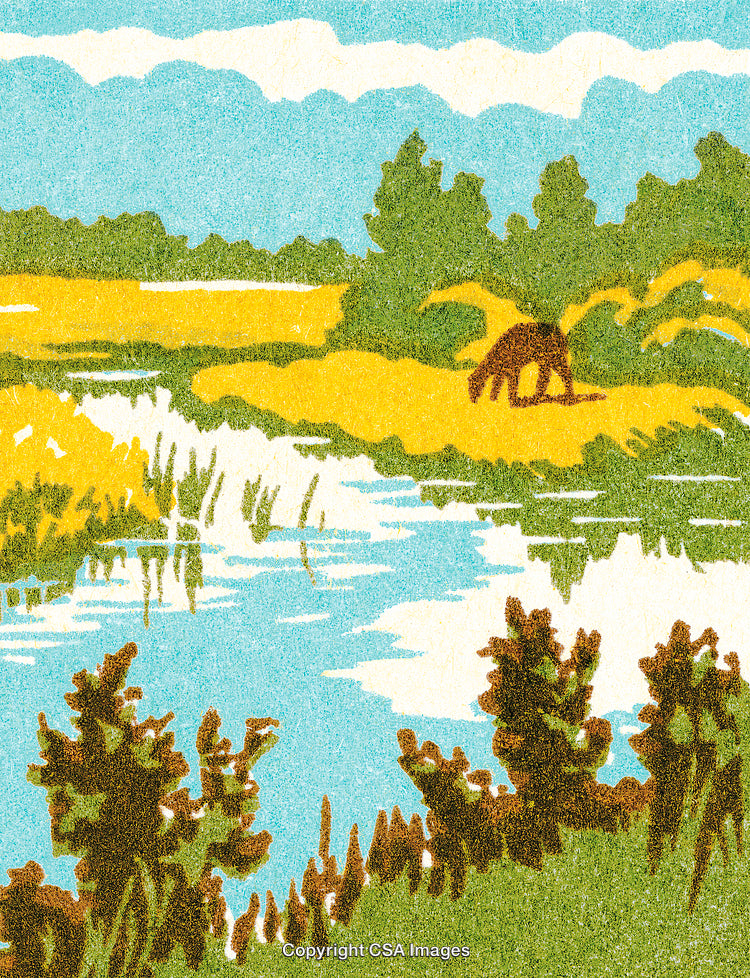 Idyllic Wetland Landscape With Scenic River and Vibrant Natural Surroundings