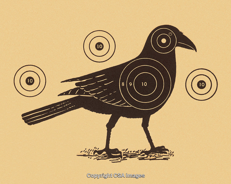 Illustration of a Crow With Target Overlays on a Neutral Background