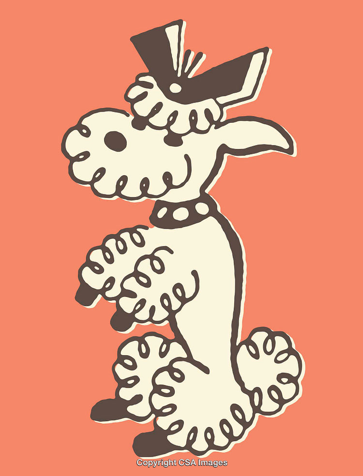 Whimsical Poodle Illustration Featuring Retro Artistic Style on Colorful Background
