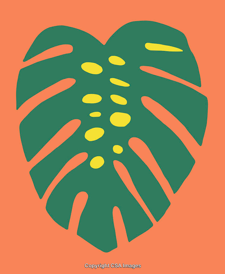 Tropical Green Monstera Leaf Illustration with Vibrant Orange and Yellow Accents