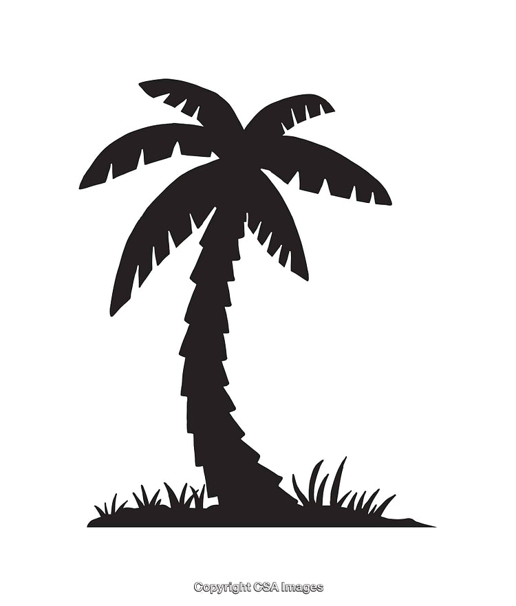 Silhouette of a Single Palm Tree on a White Background
