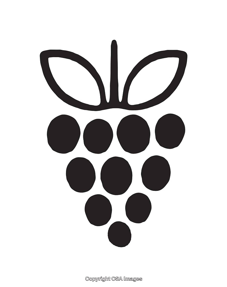 Black And White Grapes Line Art Illustration With Leaves