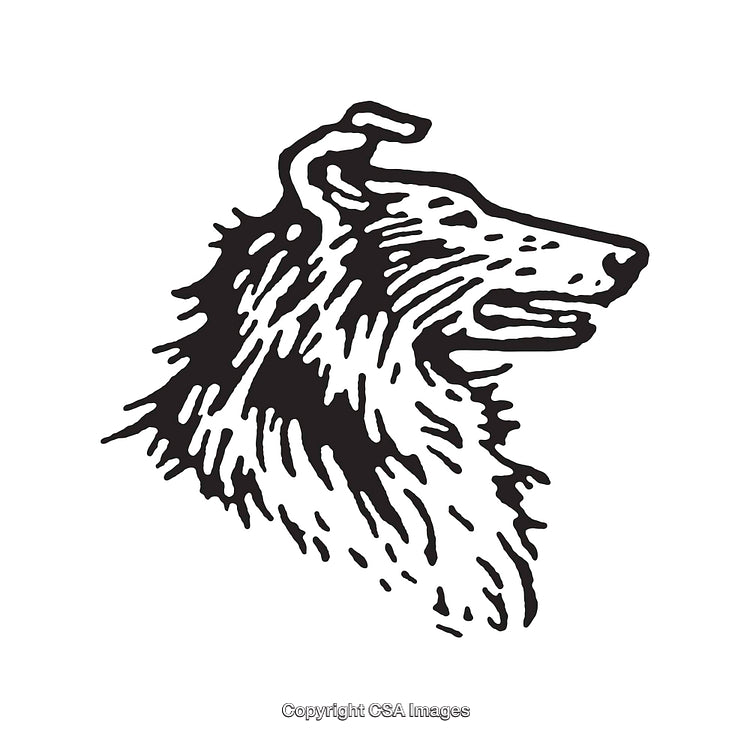 Detailed Black and White Line Art Illustration of a Dog’s Profile