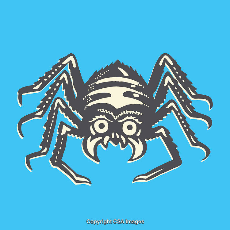 Stylized Spider Illustration on a Bright Blue Background