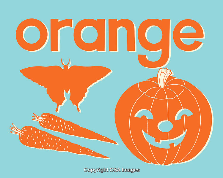 Orange-Themed Line Art Illustrations of Pumpkins, Carrots, and a Butterfly