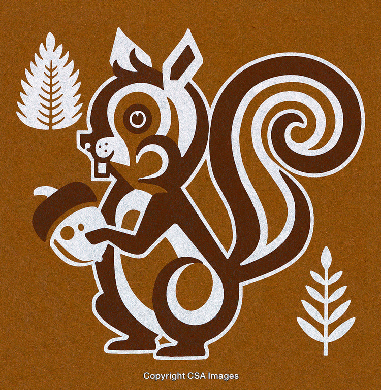 Retro Styled Squirrel Illustration with Acorn and Fern Leaf Motifs