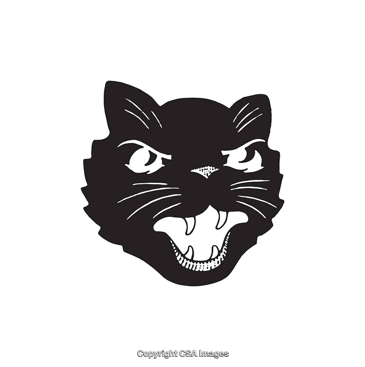 Black and White Line Art of an Angry Cat Face Illustration
