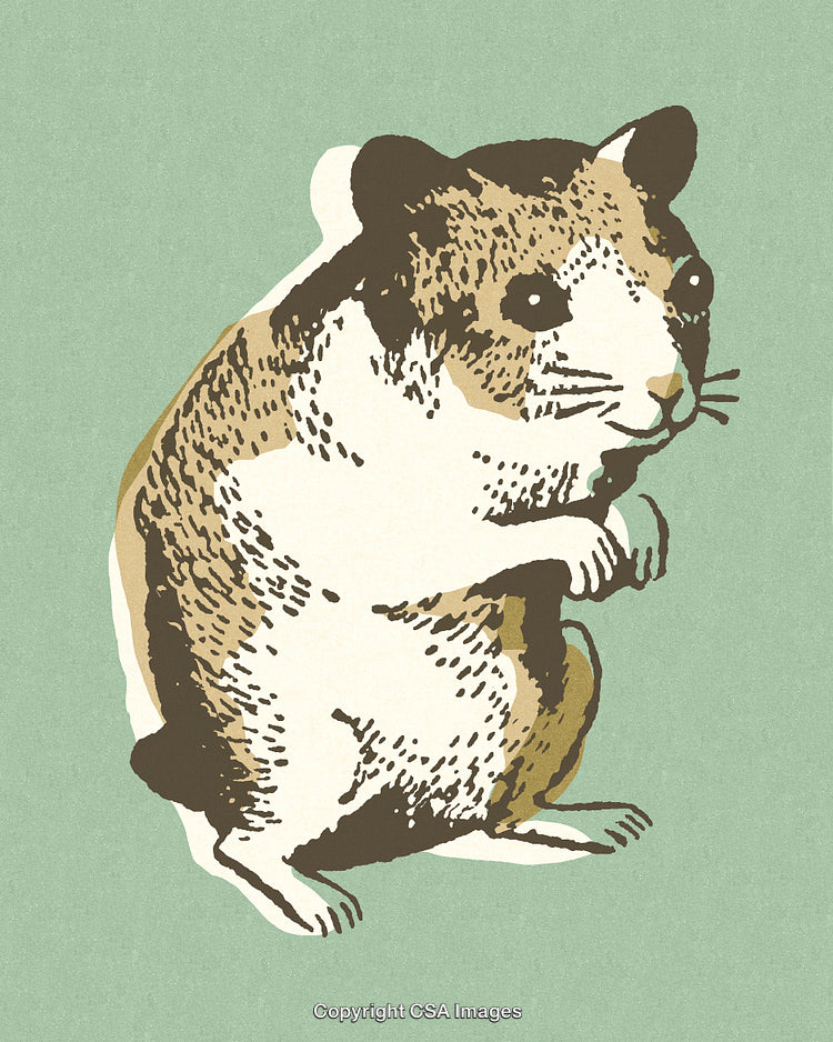 Charming Illustration of a Cute Hamster on a Light Green Background
