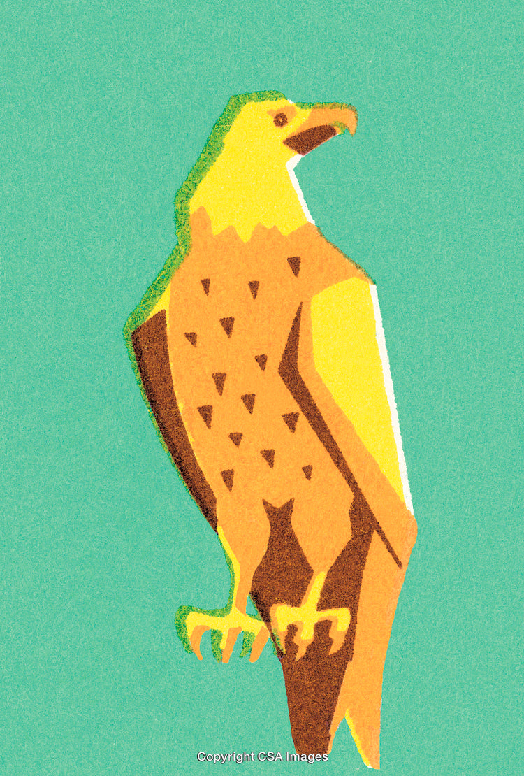 Stylized Graphic Illustration of an Eagle in Vibrant Yellow Tones
