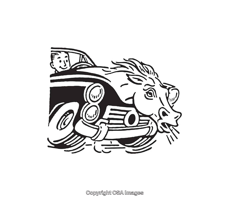 Black And White Line Art of A Car Driving Encountering A Bull