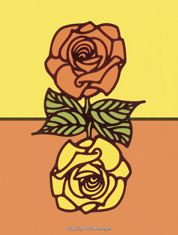Two Roses
