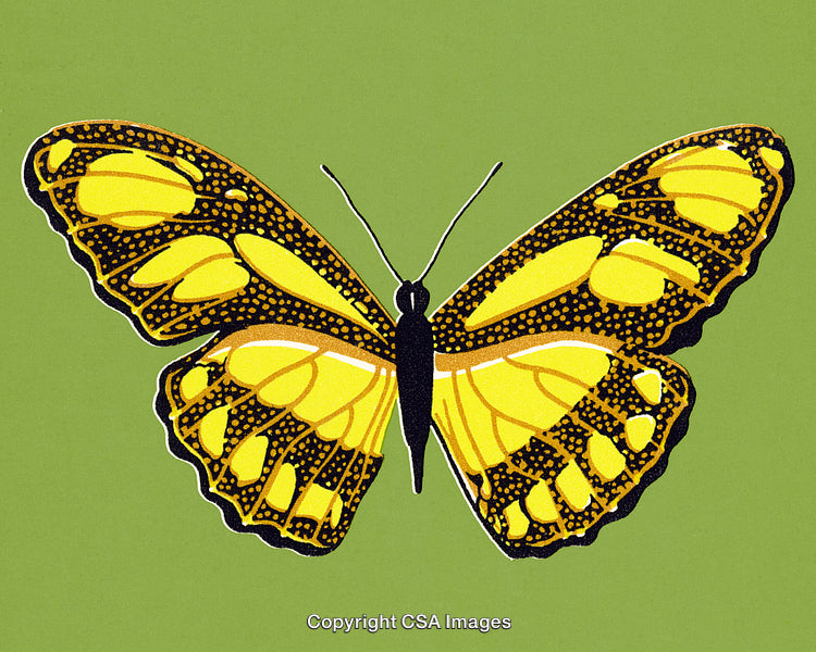Bright Yellow Butterfly with Intricate Patterns on a Green Background