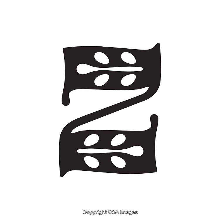 Decorative Letter Z With Artistic and Natural Motif Design Elements