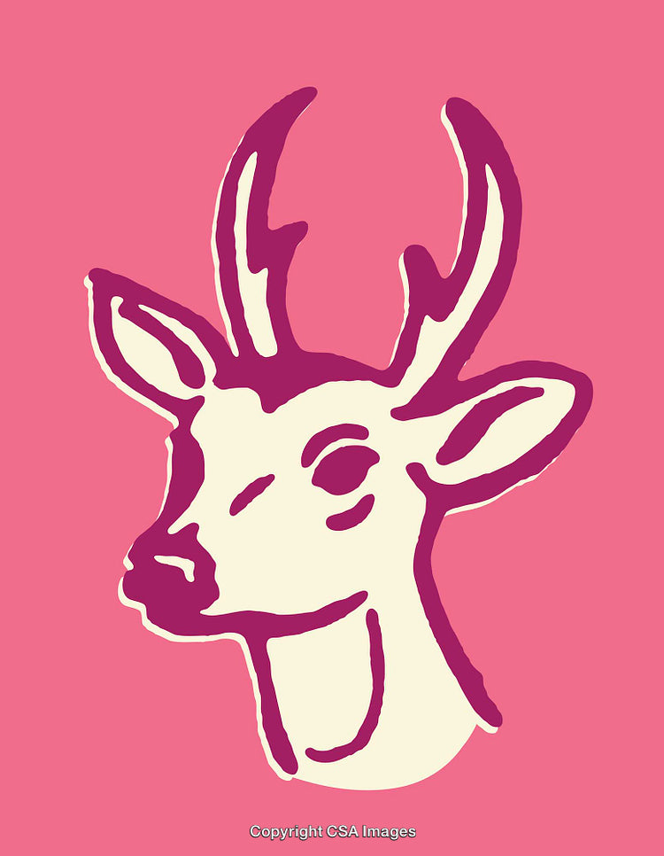 Colorful Deer Line Art with Bold Pink Background