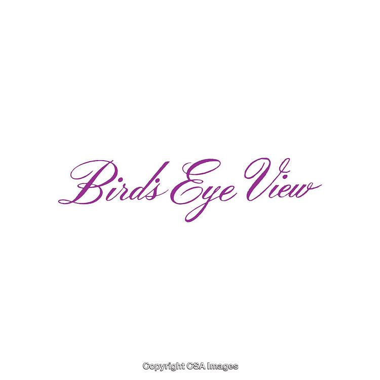 Elegant Lettering Design Featuring Cursive Script in Purple on a White Background