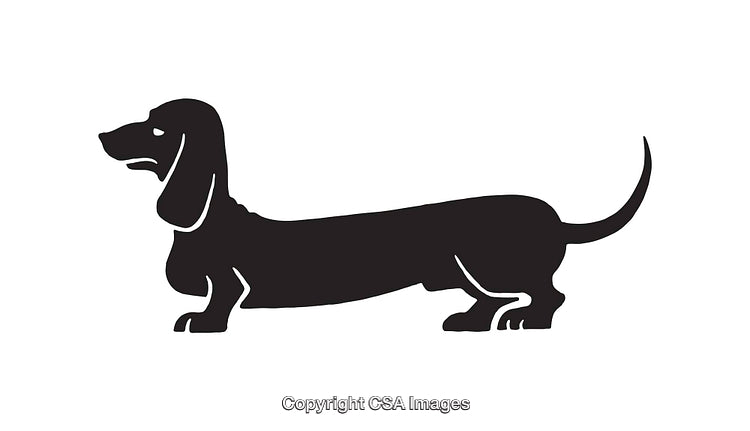 Black and White Silhouette of a Long Dachshund Dog