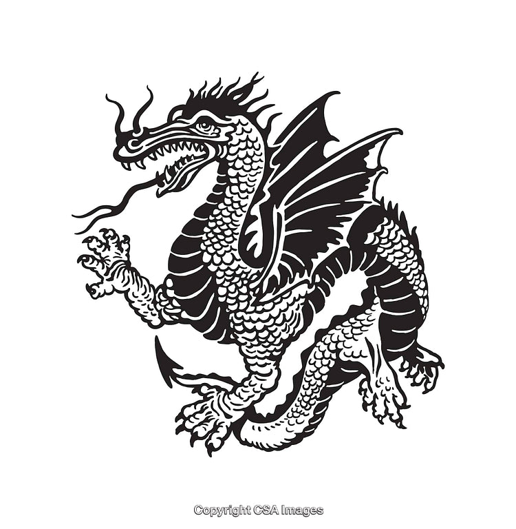 Black and White Line Art Illustration of a Mythical Winged Dragon