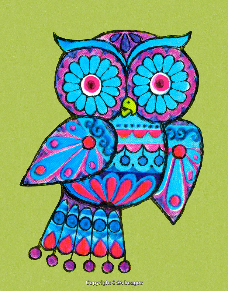 Colorful Decorative Owl Illustration Featuring Bold and Bright Flower Patterns