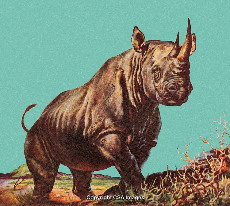 Illustration of a Rhinoceros in a Natural Environment With Vibrant Colors
