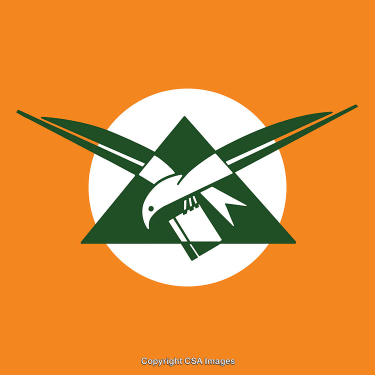 Stylized Illustration Featuring a Green Bird and Orange Background Design