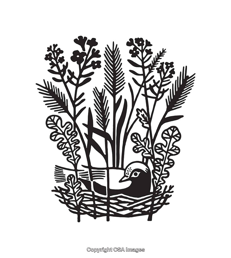 Intricate Black and White Line Art of Nature and Bird Silhouette