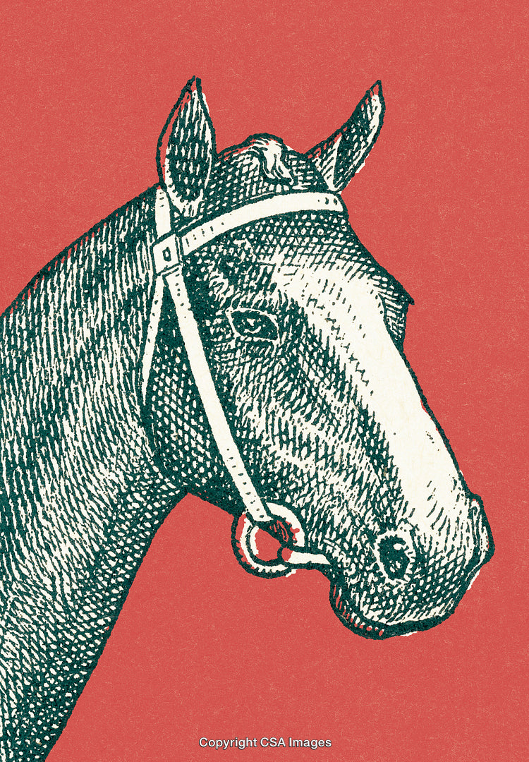 Vintage Illustration of a Horse Head on a Bold Red Background