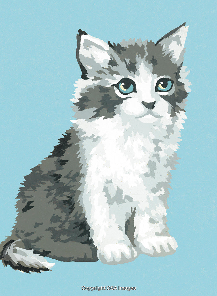 Adorable Kitten Illustration in Paint-by-Number Style on Blue Background
