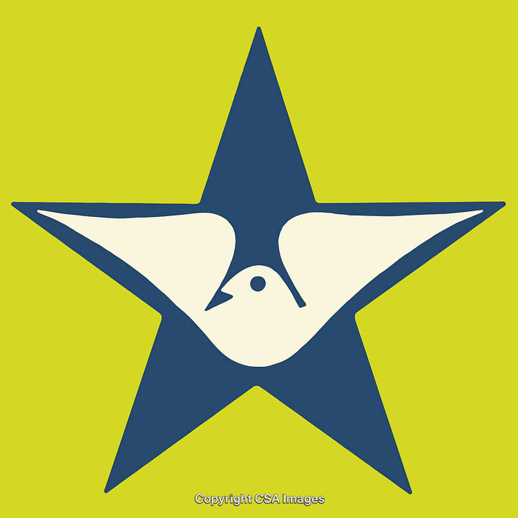 Abstract Illustration of a Dove and Star on Vibrant Background